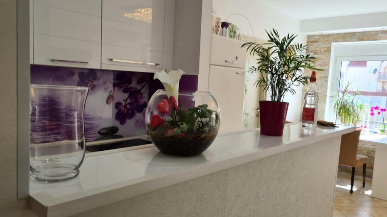 Апартаменты Apartman Anja Стара-Пазова Экстерьер фото